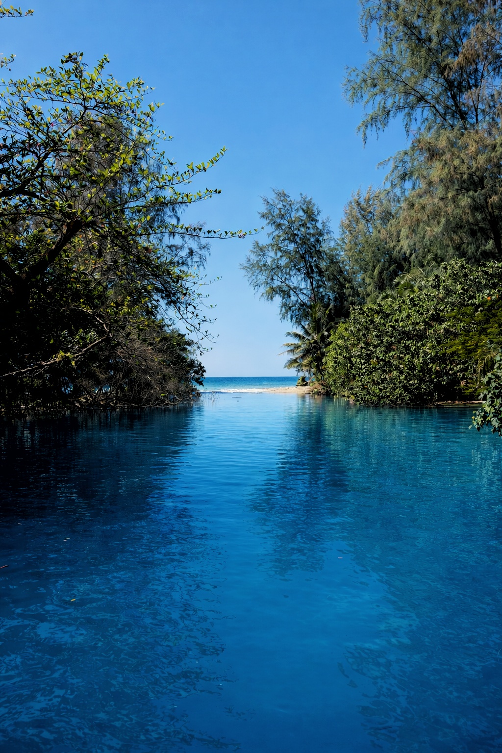 Grøn natur og strand på Koh Chang